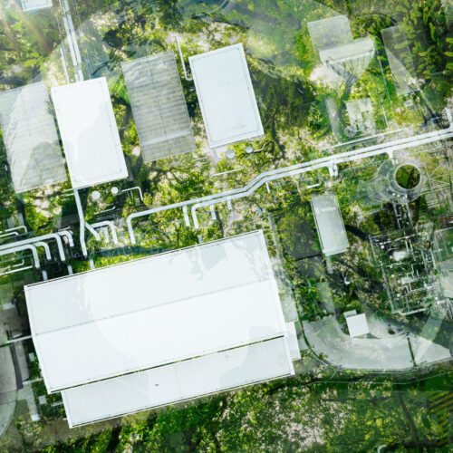 articol 01 august 2025 green horizons cee