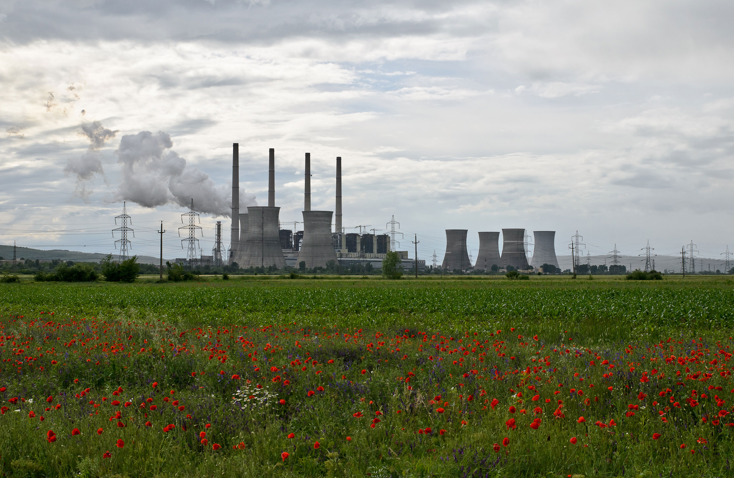 carbon management romania green horizon